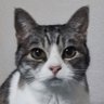 ぎんちょし's profile picture