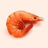 shrimp 的头像