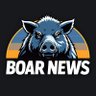 Фото профиля Boar News