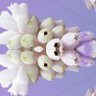 光宙's profile picture