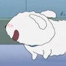 Profilbild von Shiro