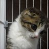 Фото профиля びくたー