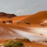 Profilbild von أبـو طـارق