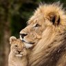 ❤️🎗️TOP14🎗️❤️ profil fotoğrafı