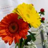 ふぅの花 的头像