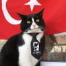 Serkan 🪐's profile picture