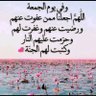 Фото профиля سماعيل بن فهد