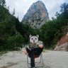 Tarık Umur's profile picture