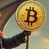 Profilbild von Bitcoin Reality Check