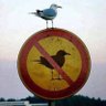 Mary Witt's profile picture