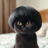 Suwicha profil fotoğrafı