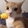 trix profil fotoğrafı