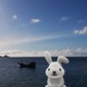 ミキ 的头像
