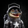Jacare da nasa★彡 的头像