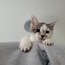 Фото профиля Aaron