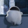 Profilbild von ぴぴ