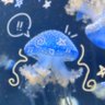 °❀⋆Blue Jellyfish 🪼.☘︎ ݁ 的头像