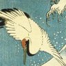 bentbirds 的头像