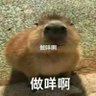 Profilbild von 温水煮青蛙