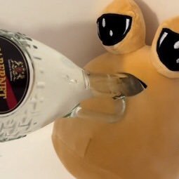 Falconbs_'s profile picture