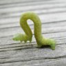 Profilbild von J-wormy