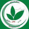 Green trend saghar profil fotoğrafı