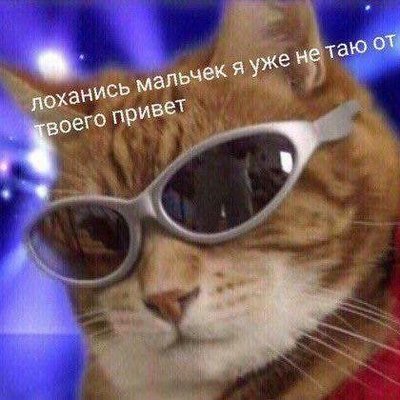 гиперконтроль и несговорчивость's profile picture