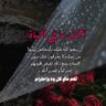 علي's profile picture