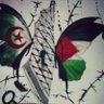 أمير 🇩🇿 🔻's profile picture