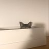 ami profil fotoğrafı
