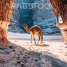 s̶'h̶'a̶'h̶'m̶ profil fotoğrafı