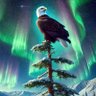 Cody Pearce's profile picture
