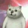 Фото профиля temporal