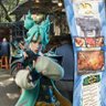 Mexican Jade's profile picture