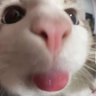 Profilbild von しんじ28