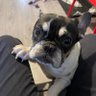 Profilbild von Thomas