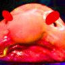 Darth Blobby's profile picture
