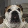 Profilbild von Clayton