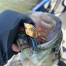 Fisherman007's profile picture