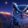 HollywoodHawk profil fotoğrafı