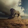صقر ربيعة profil fotoğrafı