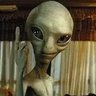 chace🥒 profil fotoğrafı