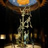 Chinese Genesis profil fotoğrafı