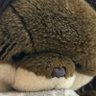 ねぎとろ's profile picture