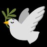 Seda's profile picture