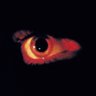 _theodosious_'s profile picture