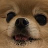Kinarmy's profile picture