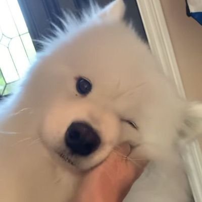 yourebabexx's profile picture