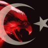 Фото профиля X 🇹🇷 ☪︎ MUHAFIZLARI ☪︎