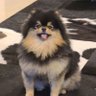 Kriti 的头像
